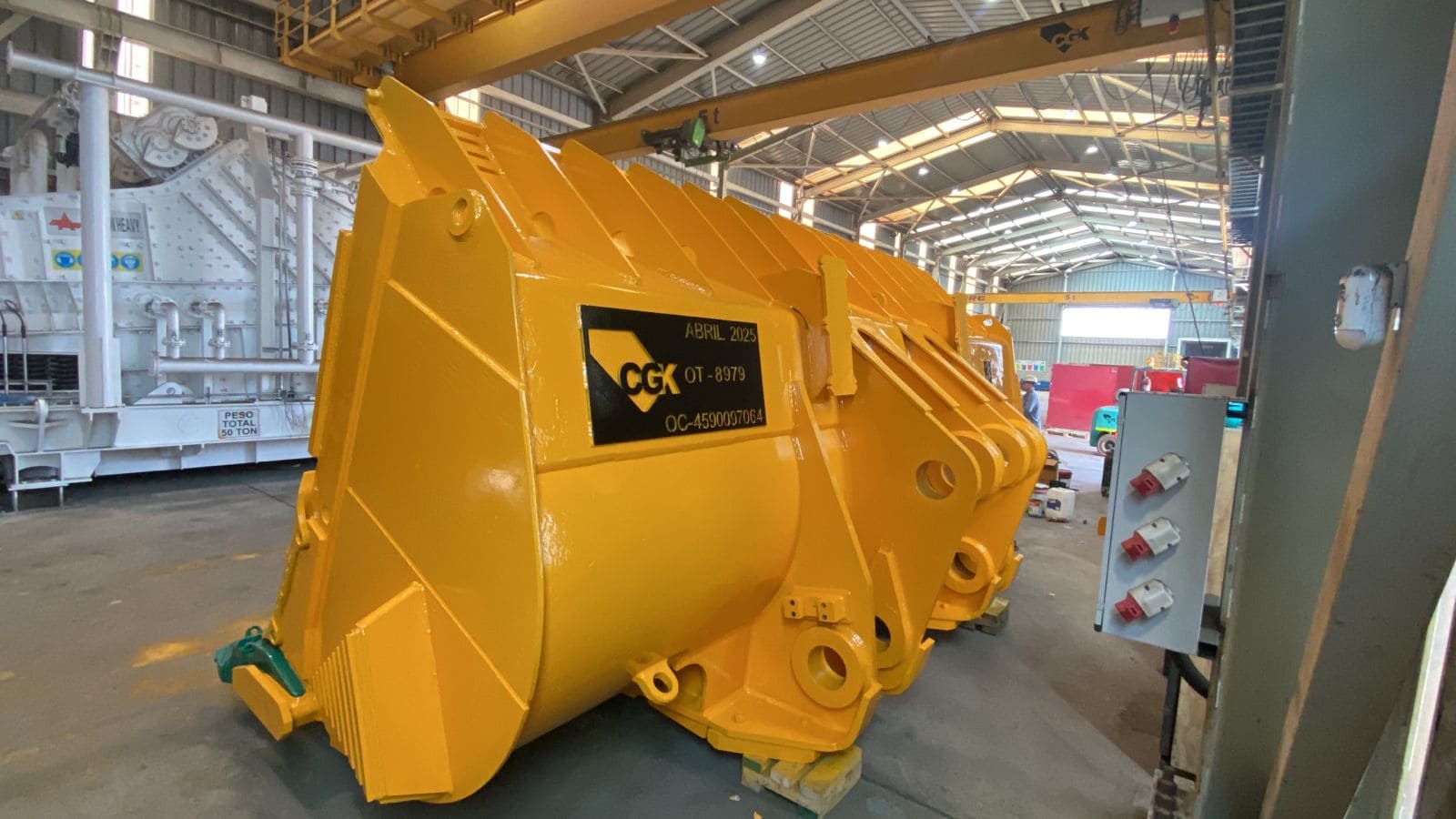 WhatsApp Image 2025-07-25 at 09.11.06